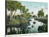 Florida - Thompson's Creek on Tomoka River-Lantern Press-Stretched Canvas