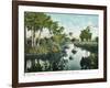 Florida - Thompson's Creek on Tomoka River-Lantern Press-Framed Art Print