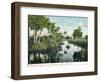 Florida - Thompson's Creek on Tomoka River-Lantern Press-Framed Art Print