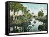 Florida - Thompson's Creek on Tomoka River-Lantern Press-Framed Stretched Canvas