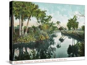 Florida - Thompson's Creek on Tomoka River-Lantern Press-Stretched Canvas