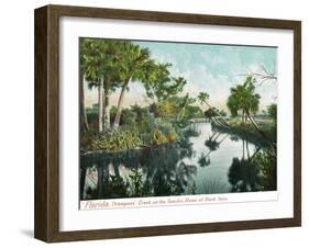 Florida - Thompson's Creek on Tomoka River-Lantern Press-Framed Art Print