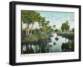 Florida - Thompson's Creek on Tomoka River-Lantern Press-Framed Art Print