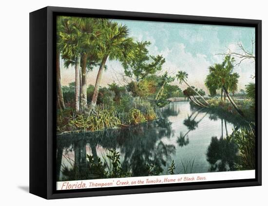 Florida - Thompson's Creek on Tomoka River-Lantern Press-Framed Stretched Canvas