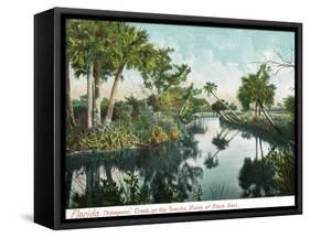 Florida - Thompson's Creek on Tomoka River-Lantern Press-Framed Stretched Canvas
