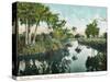 Florida - Thompson's Creek on Tomoka River-Lantern Press-Stretched Canvas