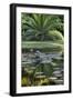 Florida, Tropical Vegetation, Flowering Water Lilies and Lush Palms-Judith Zimmerman-Framed Premium Photographic Print