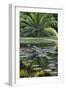 Florida, Tropical Vegetation, Flowering Water Lilies and Lush Palms-Judith Zimmerman-Framed Photographic Print