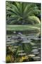 Florida, Tropical Vegetation, Flowering Water Lilies and Lush Palms-Judith Zimmerman-Mounted Photographic Print