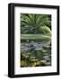 Florida, Tropical Vegetation, Flowering Water Lilies and Lush Palms-Judith Zimmerman-Framed Photographic Print