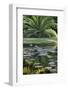 Florida, Tropical Vegetation, Flowering Water Lilies and Lush Palms-Judith Zimmerman-Framed Photographic Print