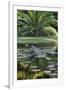 Florida, Tropical Vegetation, Flowering Water Lilies and Lush Palms-Judith Zimmerman-Framed Premium Photographic Print