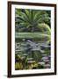 Florida, Tropical Vegetation, Flowering Water Lilies and Lush Palms-Judith Zimmerman-Framed Premium Photographic Print