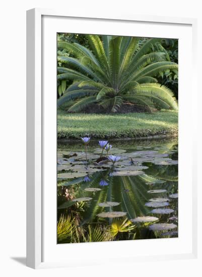 Florida, Tropical Vegetation, Flowering Water Lilies and Lush Palms-Judith Zimmerman-Framed Photographic Print