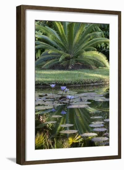 Florida, Tropical Vegetation, Flowering Water Lilies and Lush Palms-Judith Zimmerman-Framed Photographic Print