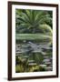 Florida, Tropical Vegetation, Flowering Water Lilies and Lush Palms-Judith Zimmerman-Framed Photographic Print