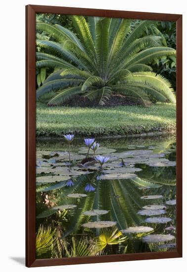 Florida, Tropical Vegetation, Flowering Water Lilies and Lush Palms-Judith Zimmerman-Framed Photographic Print