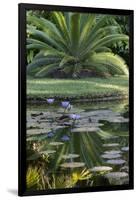 Florida, Tropical Vegetation, Flowering Water Lilies and Lush Palms-Judith Zimmerman-Framed Photographic Print