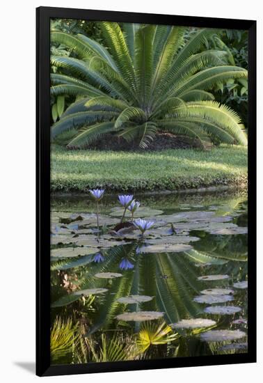 Florida, Tropical Vegetation, Flowering Water Lilies and Lush Palms-Judith Zimmerman-Framed Photographic Print