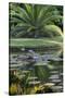 Florida, Tropical Vegetation, Flowering Water Lilies and Lush Palms-Judith Zimmerman-Stretched Canvas