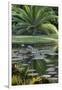 Florida, Tropical Vegetation, Flowering Water Lilies and Lush Palms-Judith Zimmerman-Framed Premium Photographic Print