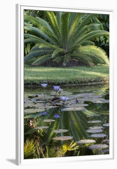 Florida, Tropical Vegetation, Flowering Water Lilies and Lush Palms-Judith Zimmerman-Framed Premium Photographic Print