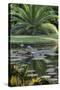 Florida, Tropical Vegetation, Flowering Water Lilies and Lush Palms-Judith Zimmerman-Stretched Canvas