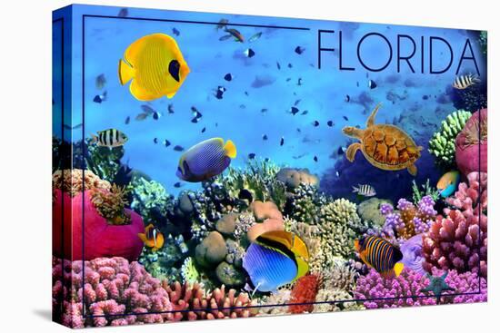 Florida - Underwater Coral-Lantern Press-Stretched Canvas