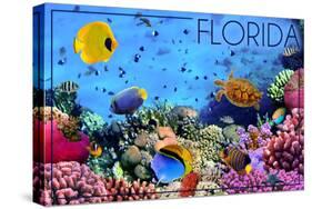 Florida - Underwater Coral-Lantern Press-Stretched Canvas
