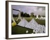 Florida, USA-null-Framed Photographic Print