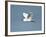 Florida, Venice, Snowy Egret Flying-Bernard Friel-Framed Photographic Print