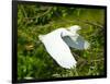 Florida, Venice, Snowy Egret Flying-Bernard Friel-Framed Photographic Print