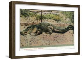 Florida - View of 19 Foot Long Alligator-Lantern Press-Framed Art Print