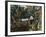 Florida - View of a Banana Grove-Lantern Press-Framed Art Print