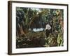 Florida - View of a Banana Grove-Lantern Press-Framed Art Print