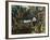 Florida - View of a Banana Grove-Lantern Press-Framed Art Print