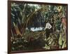 Florida - View of a Banana Grove-Lantern Press-Framed Art Print