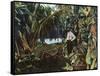 Florida - View of a Banana Grove-Lantern Press-Framed Stretched Canvas