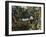 Florida - View of a Banana Grove-Lantern Press-Framed Art Print