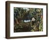 Florida - View of a Banana Grove-Lantern Press-Framed Art Print