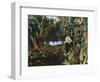 Florida - View of a Banana Grove-Lantern Press-Framed Art Print