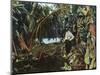 Florida - View of a Banana Grove-Lantern Press-Mounted Art Print