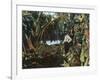 Florida - View of a Banana Grove-Lantern Press-Framed Art Print