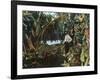 Florida - View of a Banana Grove-Lantern Press-Framed Art Print