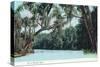 Florida - View of a Florida River-Lantern Press-Stretched Canvas