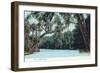 Florida - View of a Florida River-Lantern Press-Framed Art Print