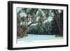 Florida - View of a Florida River-Lantern Press-Framed Art Print