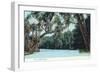 Florida - View of a Florida River-Lantern Press-Framed Art Print