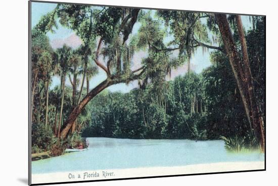 Florida - View of a Florida River-Lantern Press-Mounted Art Print