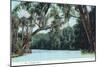 Florida - View of a Florida River-Lantern Press-Mounted Art Print